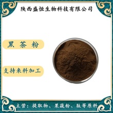 黑茶粉98% 黑茶提取物  黑茶粉 1KG起  欢迎咨询