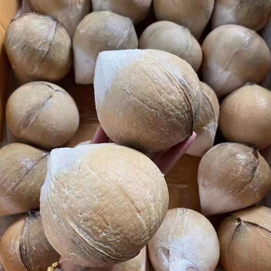 泰国牛奶老椰子新鲜老椰皇椰青小椰子当季水果香水香椰-阿里巴巴