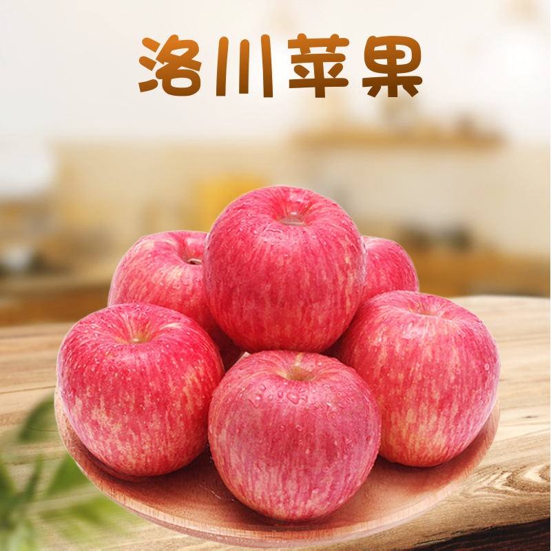 正宗陕西洛川红富士洛川苹果5/10斤代发产地直发新鲜