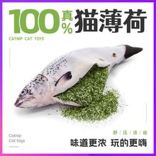 猫咪玩具猫薄荷小鱼猫逗猫棒耐啃咬自嗨解闷逗猫磨牙用品