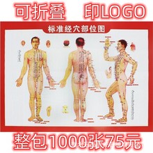 艾灸疗法书图拔罐刮痧按摩高清版艾灸图艾灸人体经络穴位图