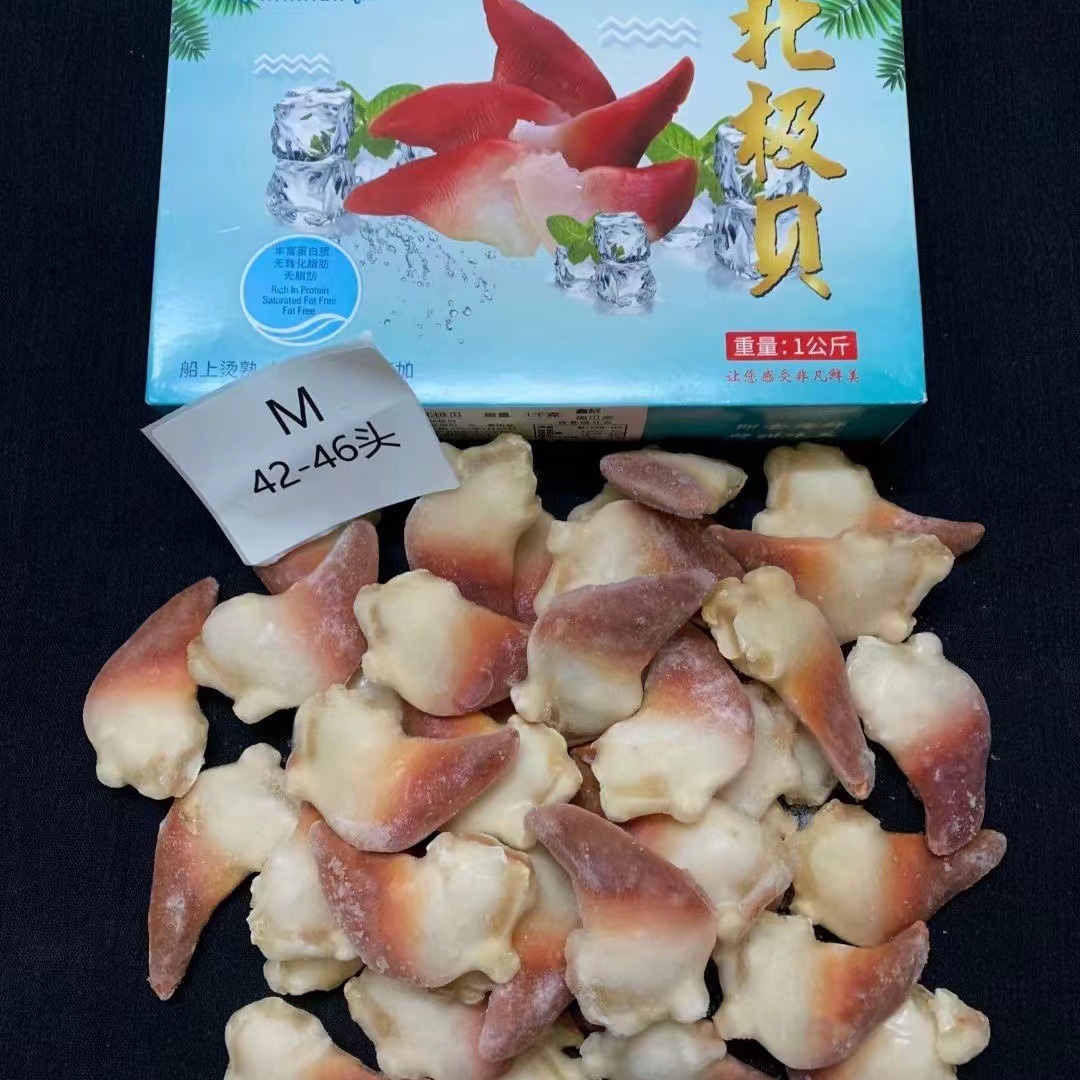 冷冻北极贝朝鲜北极贝海鲜刺身拼盘 日料寿司即食水产贝类2斤商用