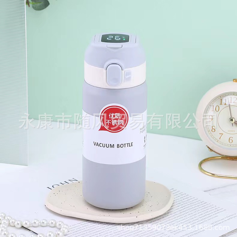 Factory Direct Supply Portable Spring Buckle Vacuum Cup Intelligent Temperature Display Stainless Steel Water Cup Personalized Student Gift Cup