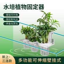 鱼缸水培支架植物固定器定植篮水草杯绿植造景壁挂花盆水生种绿萝