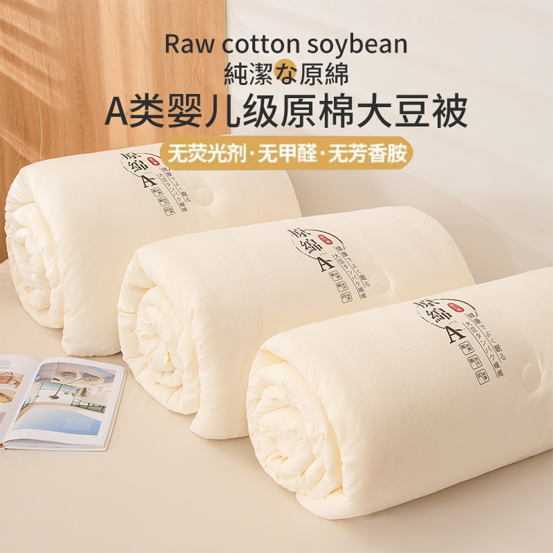 Class A Raw Cotton Soybean Fiber Is Quilt for Spring and Autumn Thickened Winter Quilt Four Seasons Quilt Company Activity Gift Is Wholesale