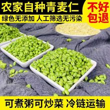 清麦仁新鲜农产品青小麦粒脱皮小麦煮粥五谷杂粮速冻青麦仁400克