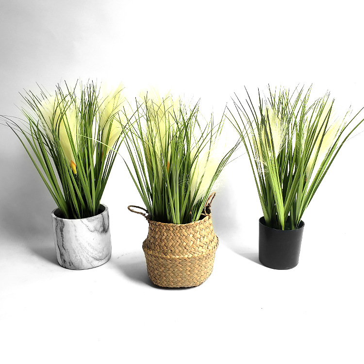 仿真小型芦苇盆栽仿真狗尾巴芦苇晴天草室内装饰绿植盆栽仿真植物