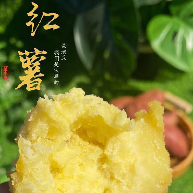 桥头地瓜海南澄迈富硒地瓜新鲜农家板栗红薯番薯沙地红薯整箱批发