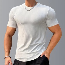 修身弹力健身衣纯色条纹男短袖T恤运动篮球跑步训练速干衣打底衫