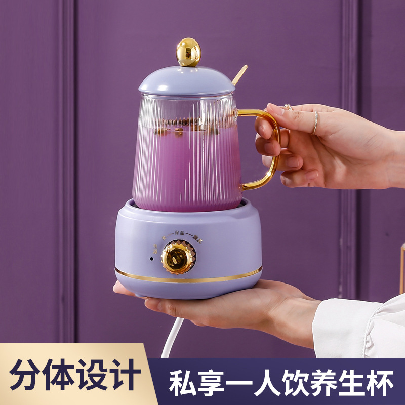 先科养生杯多功能电炖杯家用玻璃迷你电热水杯花茶加热杯批发礼品