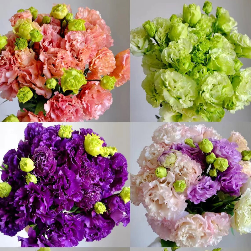 云南昆明基地洋桔梗玫瑰百合鲜花批发市场新鲜切花束直发地滩货源