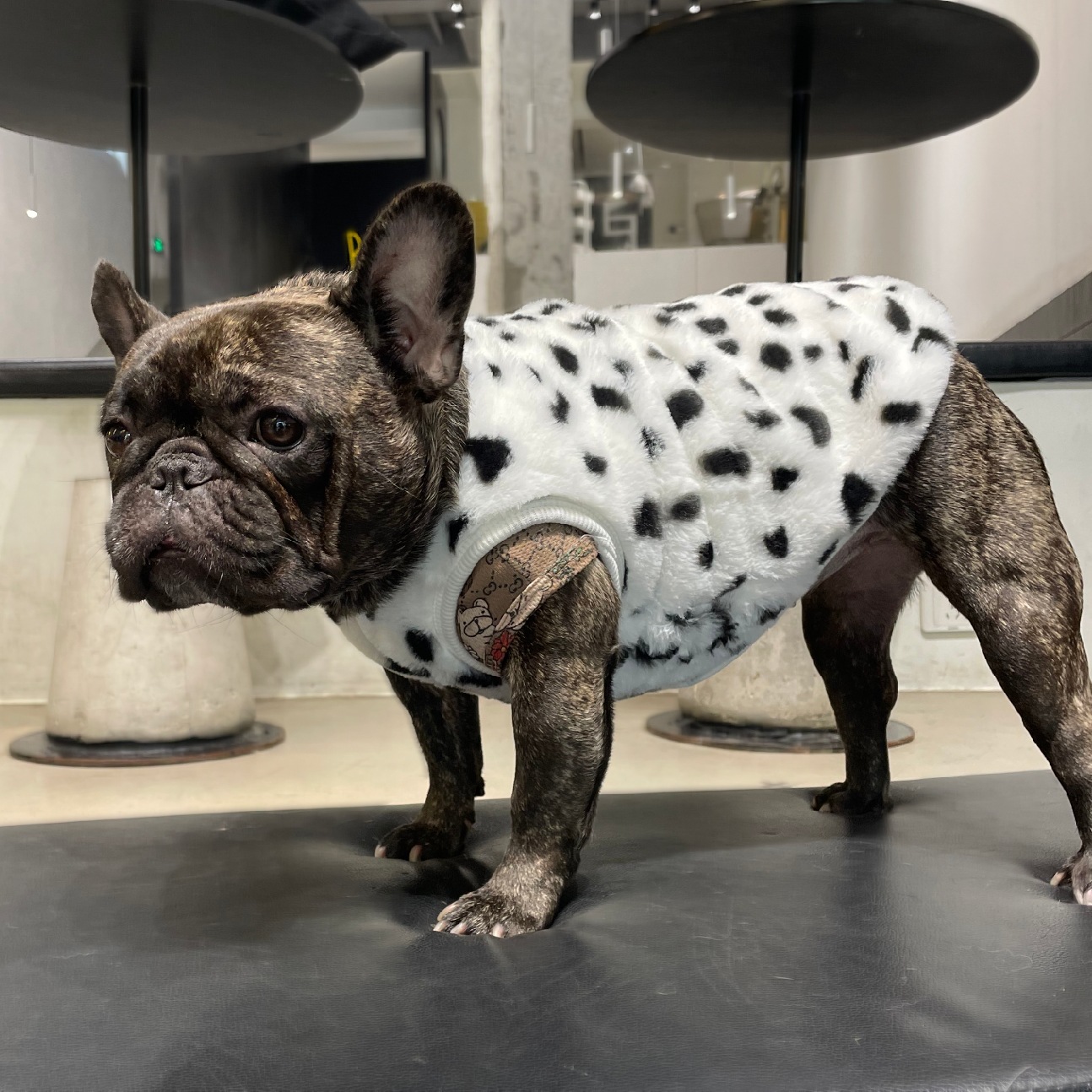 ins狗狗豹纹兔绒马甲法斗宠物棉衣服猫咪秋冬跨境亚马逊服装现货