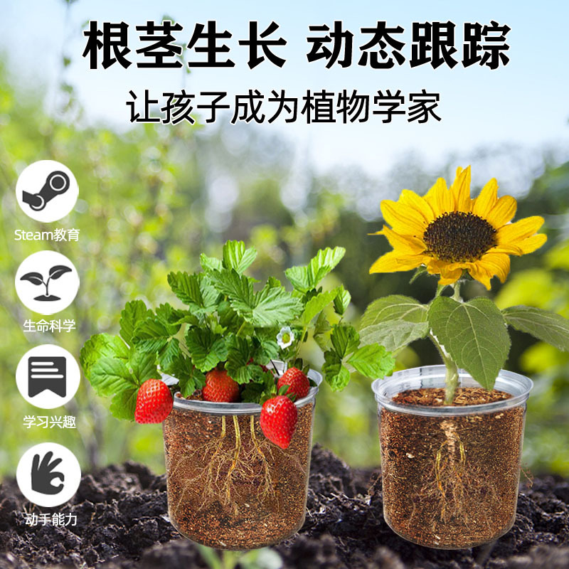阳光房种植儿童科学小实验套装学生种菜花diy植物生长观察盒玩具