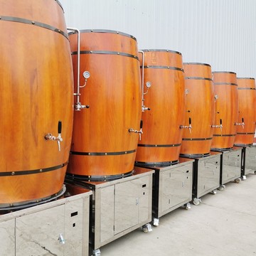 南阳赛德精酿啤酒设备厂家 自酿啤酒设备商用原料配件补差价链接