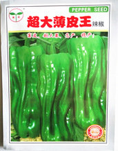 超大薄皮王辣椒种子四季薄皮超大果灯笼青椒高产蔬菜微辣椒种籽苗