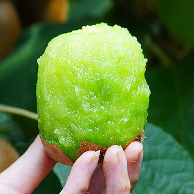 13成交5件相似周至秦美猕猴桃五斤35十斤60,物美价廉,香甜可口,现摘现