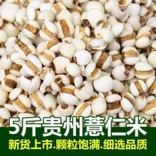 厂家直销2023小薏米500g贵州新货正宗薏仁米五谷杂粮薏苡仁红豆赤