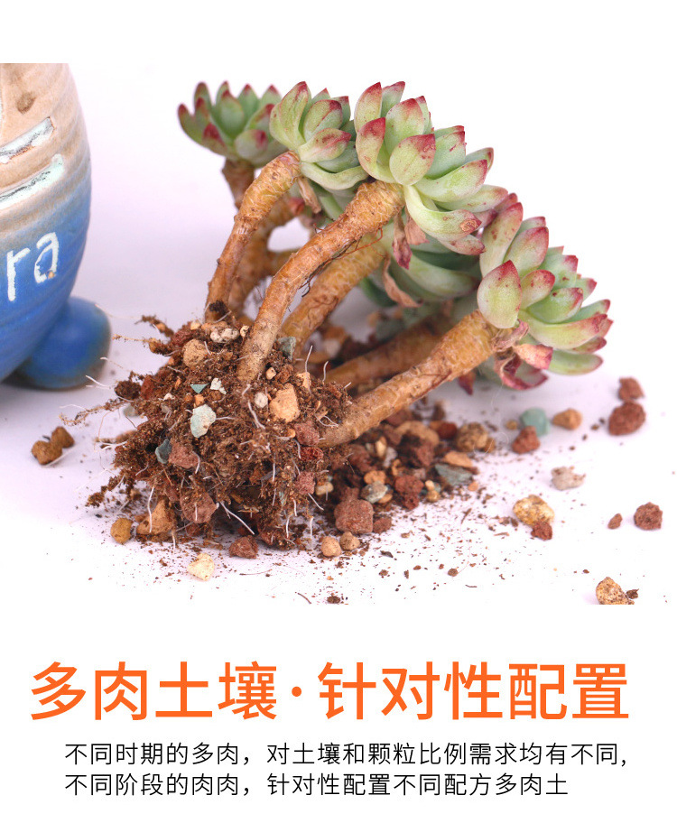 多肉颗粒土批发萌萌肉植物营养土泥炭土配方肉肉叶插纯