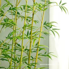 仿生竹子室外假竹子植物隔断挡墙酒店竹子装饰造景