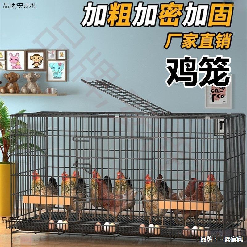 农村鸡窝户外鸡笼下蛋鸡笼鸡窝鸡窝折叠家用鸡笼子家养鸡笼养鸡笼
