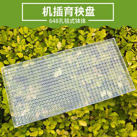 水稻育秧盘播种器水稻麦田盘人工农田353孔小麦塑料9寸平盘育苗盘