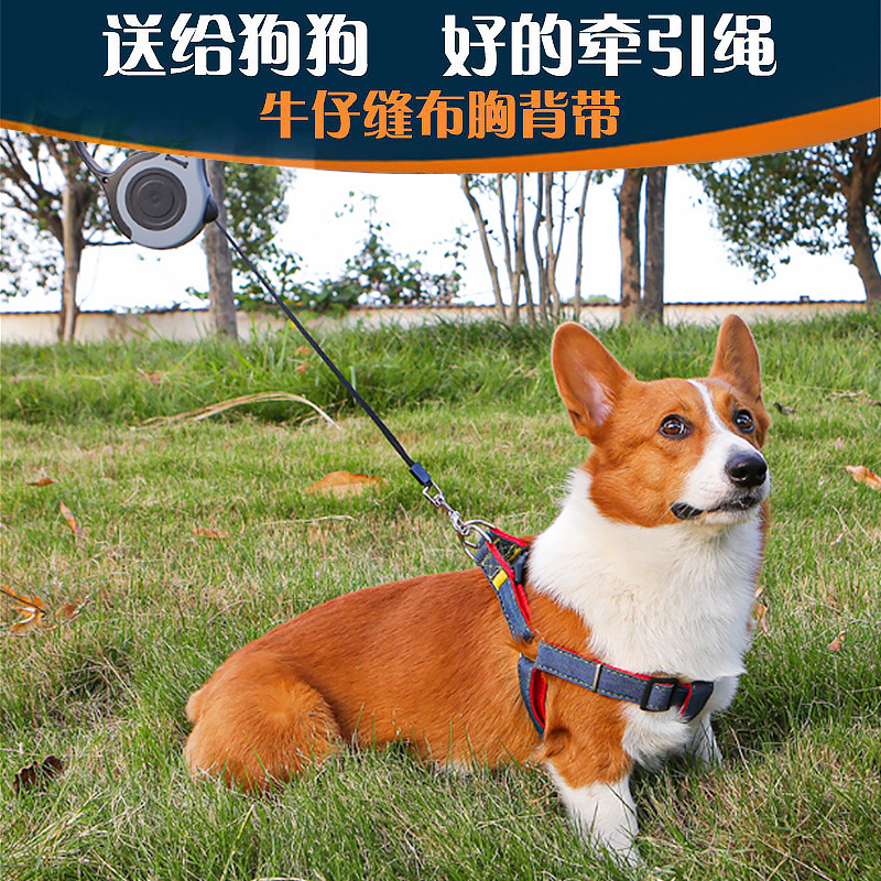 狗狗牵引绳中型小型犬狗链子狗项圈泰迪金毛遛狗绳子宠物用品狗带