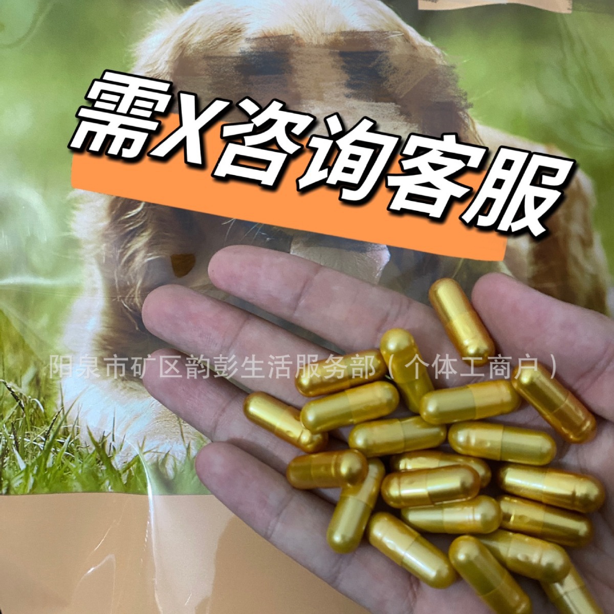 左旋肉碱茶多酚金色加强版减肥胶囊非散装非抑制食欲减肥产品胶囊