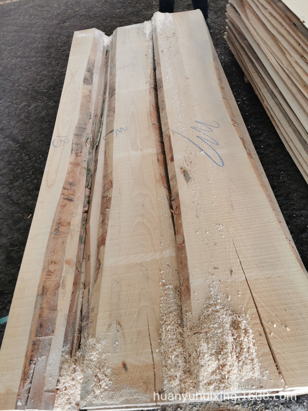 (月销500)德国白榉木26厚欧洲榉木aa级高端原材料-阿里巴巴