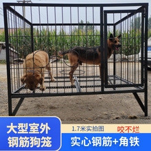 钢筋狗笼中大型犬室外狗笼实心角钢焊接大狗笼狗舍狗笼批发