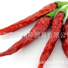 厂家批发干辣椒pepper，红辣椒 益都椒，金塔，线椒