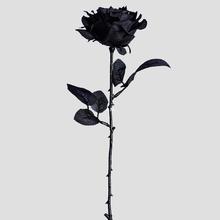 干枯玫瑰黑玫瑰花拍摄道具白黑色假干花拍照不良手持扇子枯萎