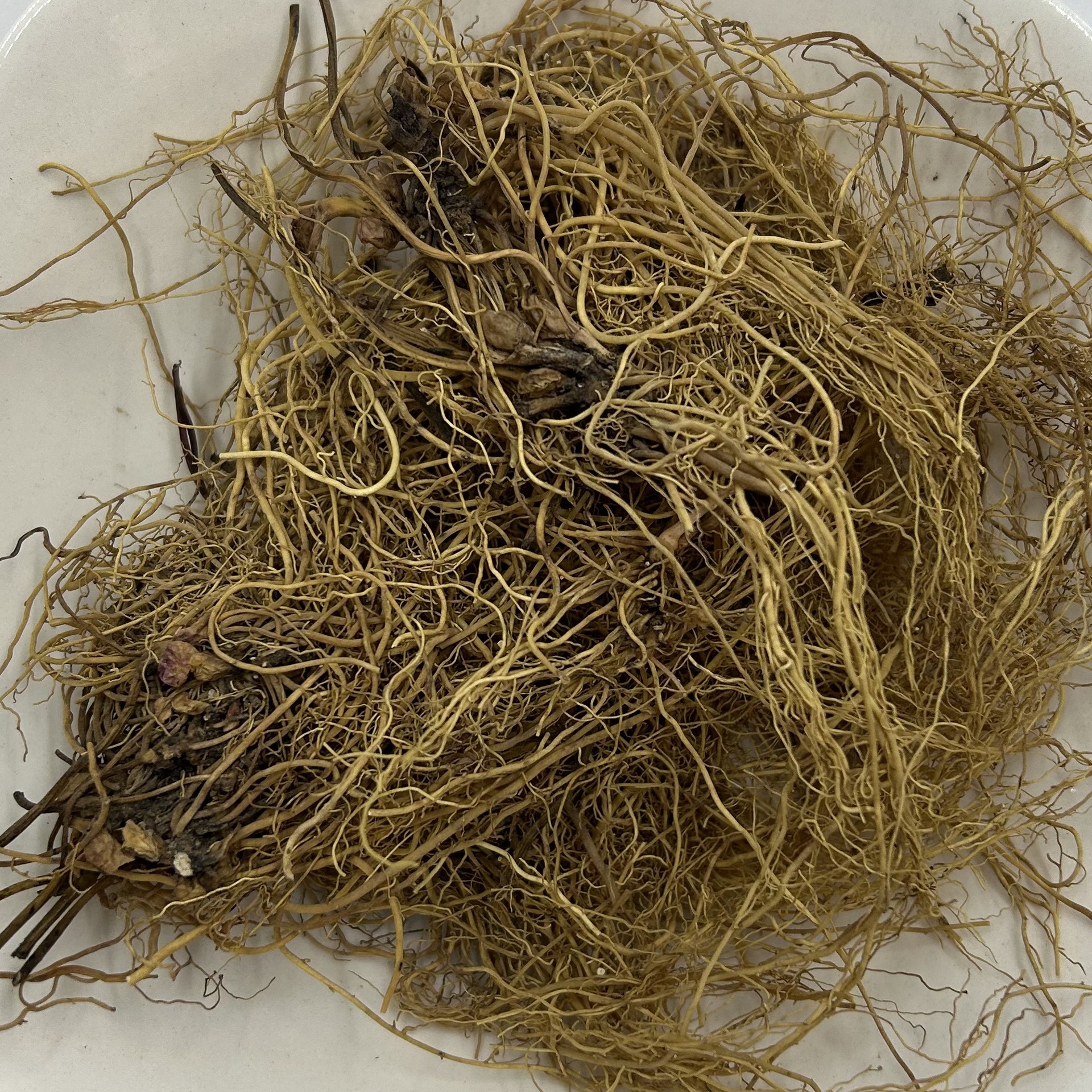 辽宁细辛水洗细辛辽细辛散装统货中药材批发大量批发各种规格现货