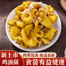 榆黄蘑干货榆黄菇干黄金菇食用菌子菌类煲汤鲜美东北特产黄蘑菇菌