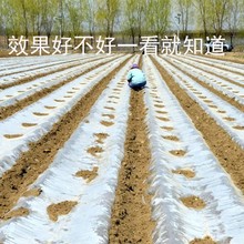 1米宽地膜西瓜强度菜园透明膜园林特厚果园农膜花生农作物专业pvc