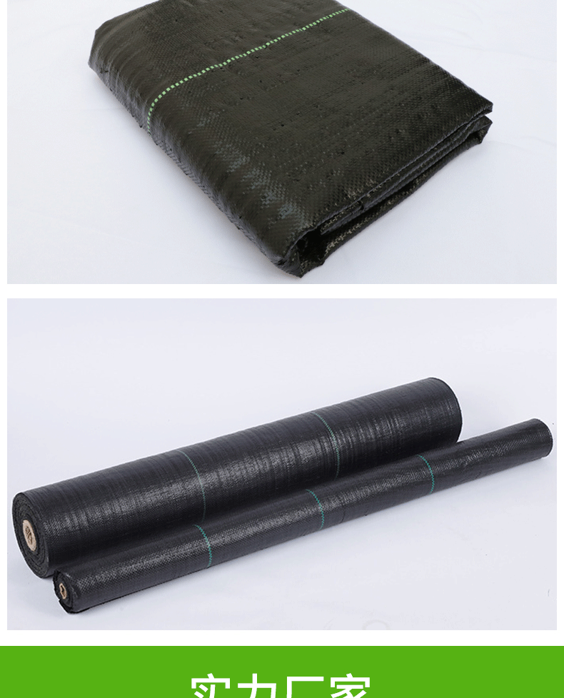 冬季棉被大棚pe布 防水农用温室反光编织布 防寒抗冻保温被覆膜布