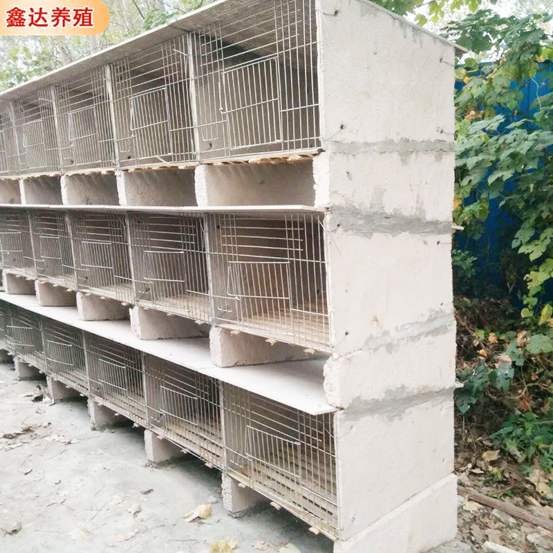 批发多位兔笼 养殖用竹底板铁丝网水泥兔笼 饲喂设备水泥子母兔笼