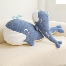 新品可爱海洋生物大牙鲸鱼长条抱枕跨境毛绒玩具女孩睡觉夹腿娃娃