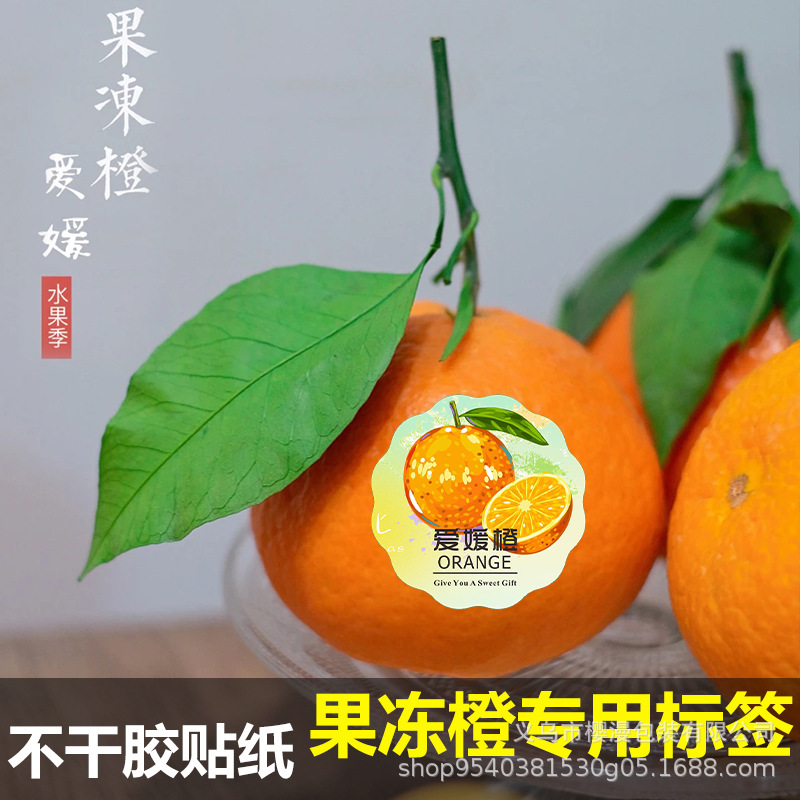 爱媛果冻橙贴纸标贴自粘防水一次性不干胶水果店通用果贴商标标签