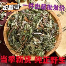 蛇莓中草药蛇莓草中药材正品新货蛇泡草蛇果草野草莓地莓草非进口