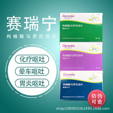 水蛭活体 蚂蟥活体 菲牛蛭苗吸血蚂蟥水蛭素药用金边