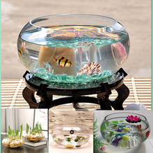客厅大乌龟缸鱼缸玻璃花瓶透明水培花盆水仙盆碗莲盆水养植物器皿