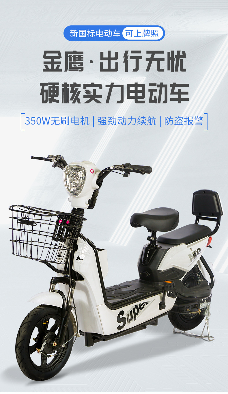 鸿福龙电动车48v新国标电瓶车踏板助力小型女士长跑王电动自行车