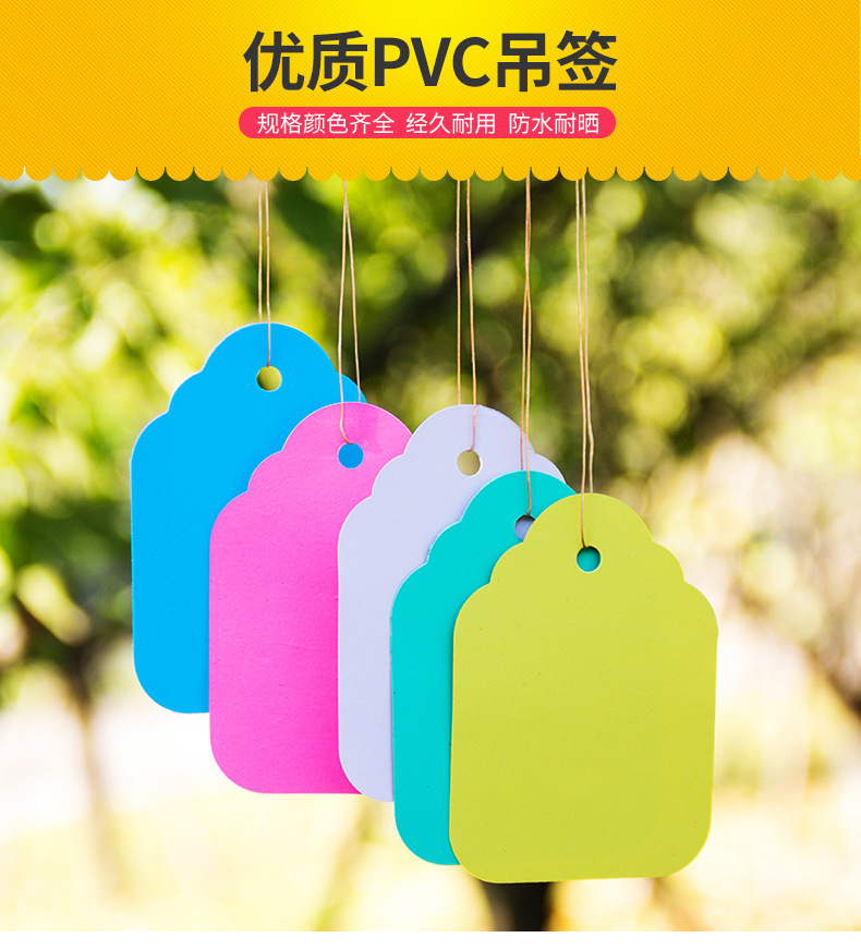 园艺标签 pvc悬挂吊签树枝标记记号吊签 彩色花卉种子幼苗记号牌