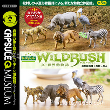 世界动物志 非洲篇 狮子 犀牛 斑马 薮猫 动物模型 扭蛋 盲盒盒蛋
