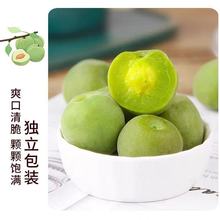 00同款货源lianxiangyuen1314淘宝32g五梅七枪反唐传 罗湘豹征西