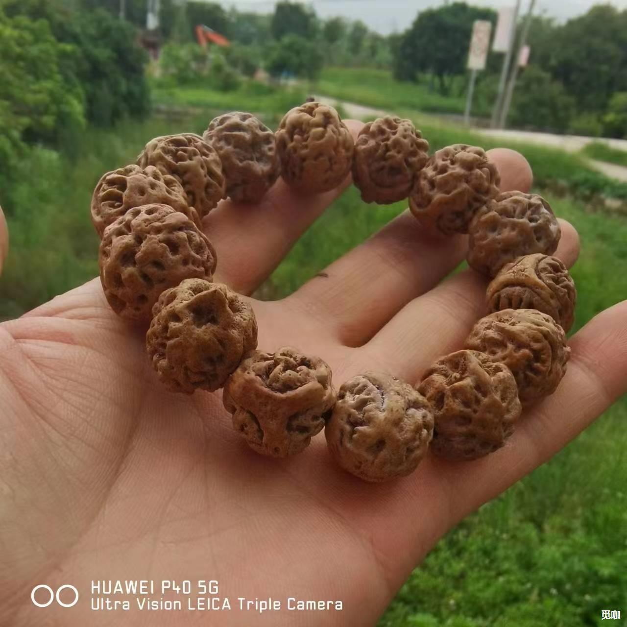 文玩野生龙眼菩提籽佛珠批发手串手链饰品厂家货源-阿里巴巴