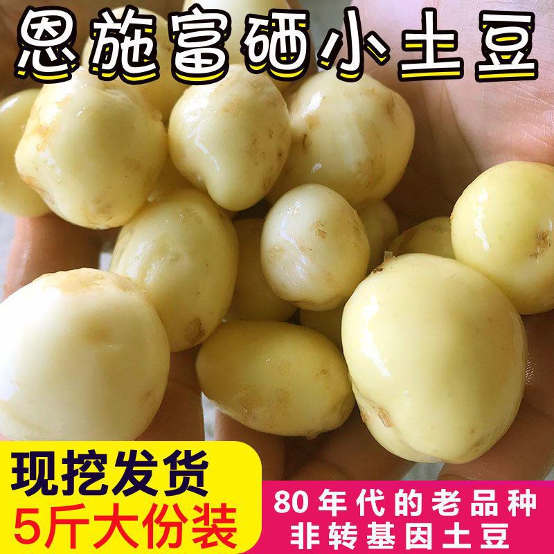 恩施土特产农家自种新鲜老品种黄心高山小土豆洋芋马铃薯-阿里巴巴