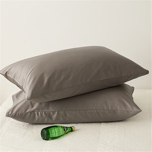 Q5ZR100支贡缎绸缎枕套单个枕头套家用单人48×74cm一对