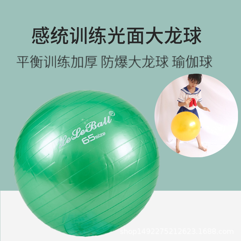 幼儿园感统训练器材大龙球儿童早教健身球家用充气瑜伽球按摩球