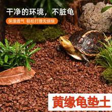 黄缘龟泥红土养龟半水龟垫材安缘黄缘龟缸造景材料赤玉土